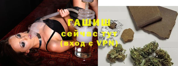 индика Михайлов