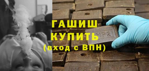 индика Михайлов