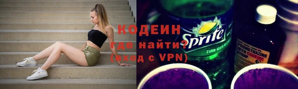 СК Гатчина