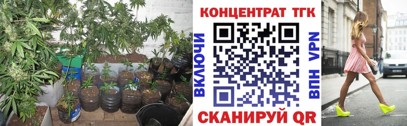 как найти   Нижняя Тура  ТГК THC oil 